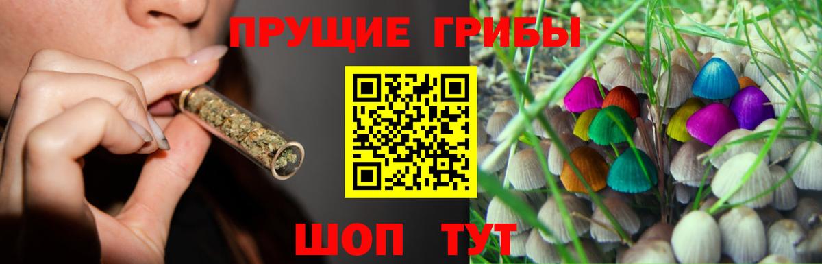 Рославль  Галлюциногенные грибы GOLDEN TEACHER  наркотики  Псилоцибиновые грибы Cubensis  Вход с VPN 